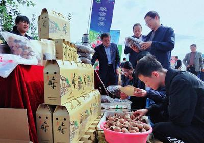 線上線下銷售火爆，食品消費(fèi)新趨勢解讀