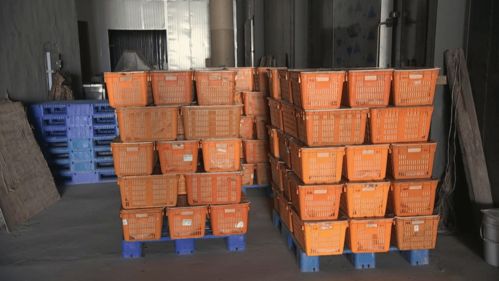 興產業鼓錢袋 安哈鎮農副產品銷售的新路子