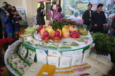 熱帶農業新篇 海南（儋州）博覽會簽約33億 農產品銷售再添動力